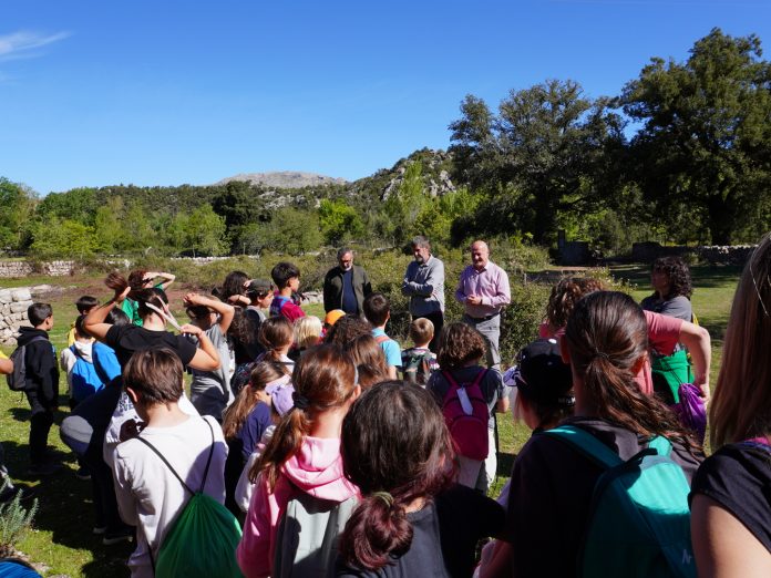 Abre la inscripción al servicio de transporte gratuito en la Serra de Tramuntana para centros escolares