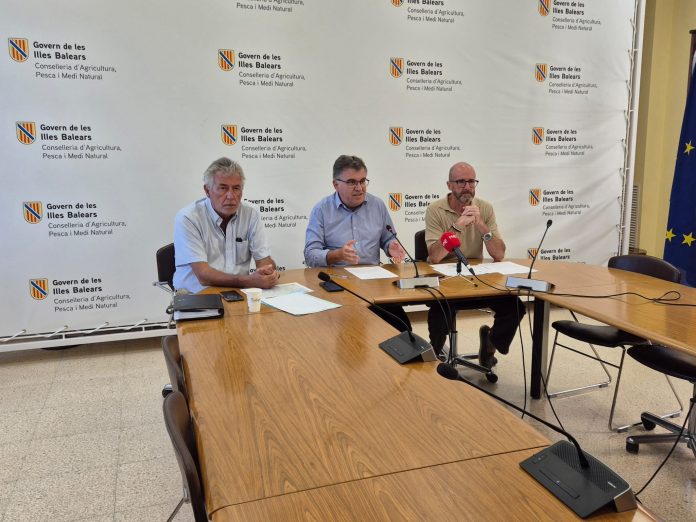 El Govern declara Mallorca zona afectada por el serotipo 3 de lengua azul y activa la vacunación inmediata