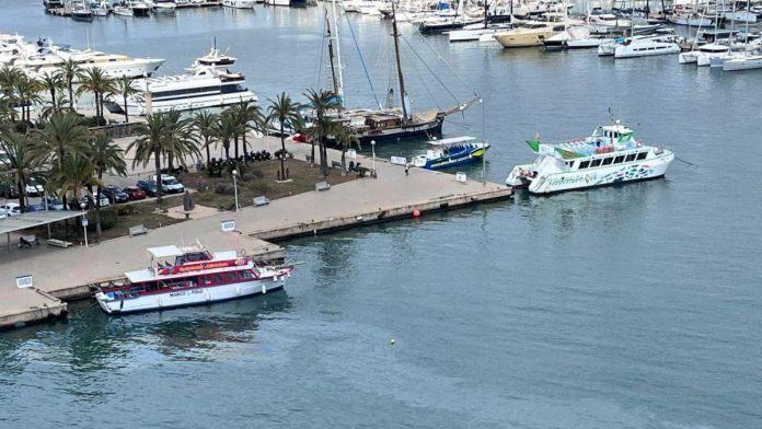 La Autoridad Portuaria de Baleares desmiente las cifras de APEAM sobre la reordenación de la Terminal de Golondrinas