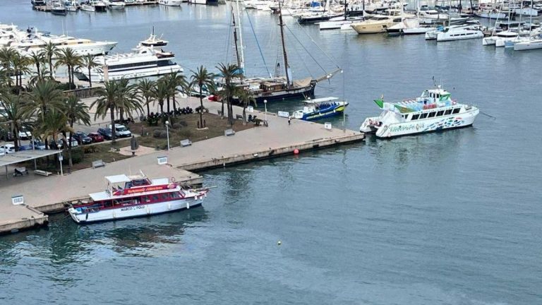 La Autoridad Portuaria de Baleares desmiente las cifras de APEAM sobre la reordenación de la Terminal de Golondrinas