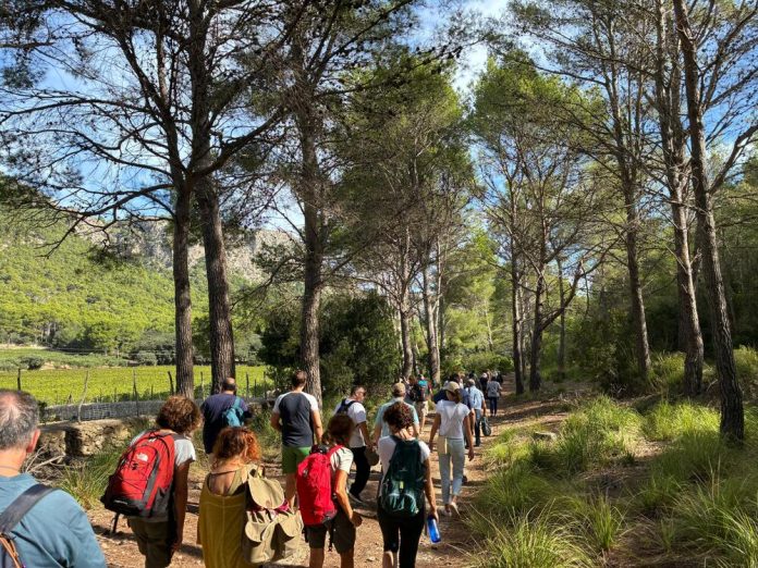 Homenaje a Miquel Costa i Llobera con una ruta poética en Formentor por los 150 años del “Pi de Formentor”