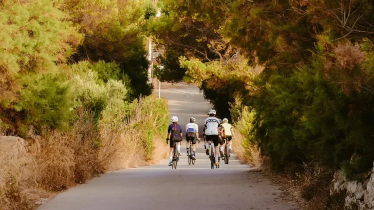 Campaña de limpieza de arcenes para reforzar la seguridad de los ciclistas