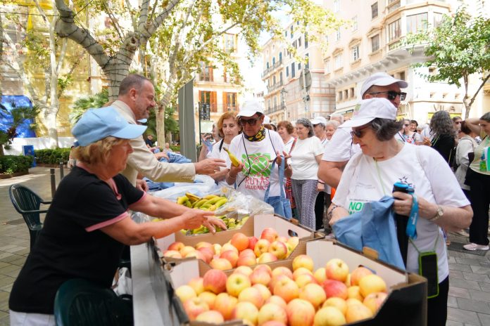 Más de 250 personas participan en el ‘Encuentro de Rutas Saludables’ que cierra la Semana Europea de la Movilidad en Palma