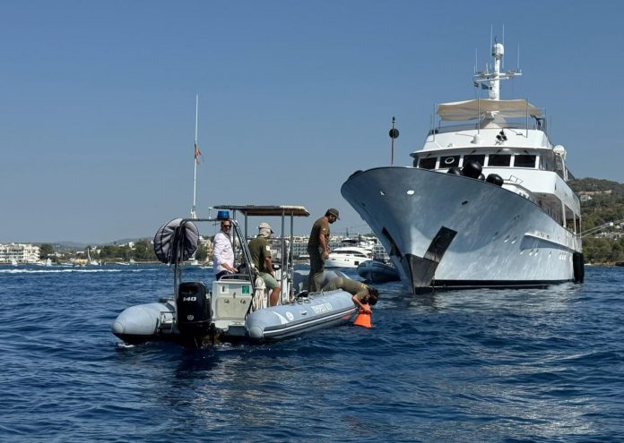 El Servicio de Vigilancia de la Posidonia cierra la temporada con más de 181.000 actuaciones, un 40% más que en 2024 2