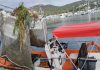 El servicio de limpieza del litoral retira 7,6 toneladas de residuos de las aguas de las Illes Balears durante el mes de mayo El servicio de limpieza retira casi 8 toneladas de residuos del litoral balear durante el mes de septiembre Mallorca concentra más de la mitad de los materiales recogidos por las embarcaciones del operativo de PortsIB Palma, 10 de octubre de 2025. El servicio de limpieza del litoral, coordinado por la empresa pública PortsIB, adscrita a la Conselleria del Mar y del Ciclo del Agua, ha retirado un total de 7.988,30 kilos de residuos de las costas de las Illes Balears durante el mes de septiembre. Esta cifra supone una media diaria de 266,28 kilos y refleja el trabajo continuado de las 23 embarcaciones que participan en la campaña de limpieza de este año: 15 barcas de tipo playa y 8 de tipo litoral, distribuidas entre Mallorca, Menorca, Eivissa y Formentera. Por tipo de embarcación, las barcas de playa retiraron 4.408,95 kilos de residuos, mientras que las de litoral recogieron 3.579,35 kilos, abarcando una amplia franja de mar que llega hasta cinco millas de la costa. Mallorca, la isla con más residuos Por islas, Mallorca concentró el mayor volumen de residuos, con 4.387,70 kilos, seguida de Formentera con 1.536,80 kilos, Menorca con 1.120,30 kilos y Eivissa con 943,50 kilos. Las embarcaciones trabajaron de forma ininterrumpida durante todo el mes, adaptando su labor a las condiciones de mar y a los puntos de mayor acumulación de residuos. En cuanto a la tipología de materiales recogidos, el plástico representó el 35,29% del total, seguido de restos de vegetación (22,17%) y otros materiales diversos (20,67%), que incluyen maderas, metales y residuos de origen humano. Actuaciones especiales y colaboración con emergencias Además de la limpieza ordinaria, el servicio realizó intervenciones especiales para retirar objetos voluminosos o peligrosos. En Mallorca, se eliminaron restos de combustible disperso, vegetación acumulada, un tronco y una barca a la deriva. En Menorca, se retiraron plásticos, cabos y una morena muerta; en Eivissa, otra barca a la deriva, maderas y restos vegetales; y en Formentera, dos barcas a la deriva y un tronco de grandes dimensiones. Durante el mes se atendieron cuatro avisos, tres de ellos gestionados junto a Salvamento Marítimo y el servicio de emergencias 112, y uno a instancias de instituciones o particulares. Cinco meses de trabajo continuado La campaña de limpieza del litoral, que se ha desarrollado entre mayo y septiembre, concluye tras cinco meses de actividad ininterrumpida en aguas de todo el archipiélago. No obstante, y de manera extraordinaria, PortsIB ha mantenido activas dos embarcaciones —una de tipo playa y otra de tipo litoral— en la zona del puerto de Vila (Eivissa) para reforzar la retirada de residuos acumulados tras las fuertes lluvias torrenciales registradas a finales de mes. Este dispositivo reafirma el compromiso del Govern con la protección del medio marino y la preservación de la calidad ambiental de las aguas baleares, esenciales tanto para el ecosistema como para el turismo sostenible.