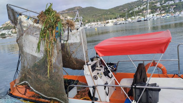 El servicio de limpieza retira casi 8 toneladas de residuos del litoral balear durante el mes de septiembre Mallorca concentra más de la mitad de los materiales recogidos por las embarcaciones del operativo de PortsIB Palma, 10 de octubre de 2025. El servicio de limpieza del litoral, coordinado por la empresa pública PortsIB, adscrita a la Conselleria del Mar y del Ciclo del Agua, ha retirado un total de 7.988,30 kilos de residuos de las costas de las Illes Balears durante el mes de septiembre. Esta cifra supone una media diaria de 266,28 kilos y refleja el trabajo continuado de las 23 embarcaciones que participan en la campaña de limpieza de este año: 15 barcas de tipo playa y 8 de tipo litoral, distribuidas entre Mallorca, Menorca, Eivissa y Formentera. Por tipo de embarcación, las barcas de playa retiraron 4.408,95 kilos de residuos, mientras que las de litoral recogieron 3.579,35 kilos, abarcando una amplia franja de mar que llega hasta cinco millas de la costa. Mallorca, la isla con más residuos Por islas, Mallorca concentró el mayor volumen de residuos, con 4.387,70 kilos, seguida de Formentera con 1.536,80 kilos, Menorca con 1.120,30 kilos y Eivissa con 943,50 kilos. Las embarcaciones trabajaron de forma ininterrumpida durante todo el mes, adaptando su labor a las condiciones de mar y a los puntos de mayor acumulación de residuos. En cuanto a la tipología de materiales recogidos, el plástico representó el 35,29% del total, seguido de restos de vegetación (22,17%) y otros materiales diversos (20,67%), que incluyen maderas, metales y residuos de origen humano. Actuaciones especiales y colaboración con emergencias Además de la limpieza ordinaria, el servicio realizó intervenciones especiales para retirar objetos voluminosos o peligrosos. En Mallorca, se eliminaron restos de combustible disperso, vegetación acumulada, un tronco y una barca a la deriva. En Menorca, se retiraron plásticos, cabos y una morena muerta; en Eivissa, otra barca a la deriva, maderas y restos vegetales; y en Formentera, dos barcas a la deriva y un tronco de grandes dimensiones. Durante el mes se atendieron cuatro avisos, tres de ellos gestionados junto a Salvamento Marítimo y el servicio de emergencias 112, y uno a instancias de instituciones o particulares. Cinco meses de trabajo continuado La campaña de limpieza del litoral, que se ha desarrollado entre mayo y septiembre, concluye tras cinco meses de actividad ininterrumpida en aguas de todo el archipiélago. No obstante, y de manera extraordinaria, PortsIB ha mantenido activas dos embarcaciones —una de tipo playa y otra de tipo litoral— en la zona del puerto de Vila (Eivissa) para reforzar la retirada de residuos acumulados tras las fuertes lluvias torrenciales registradas a finales de mes. Este dispositivo reafirma el compromiso del Govern con la protección del medio marino y la preservación de la calidad ambiental de las aguas baleares, esenciales tanto para el ecosistema como para el turismo sostenible.