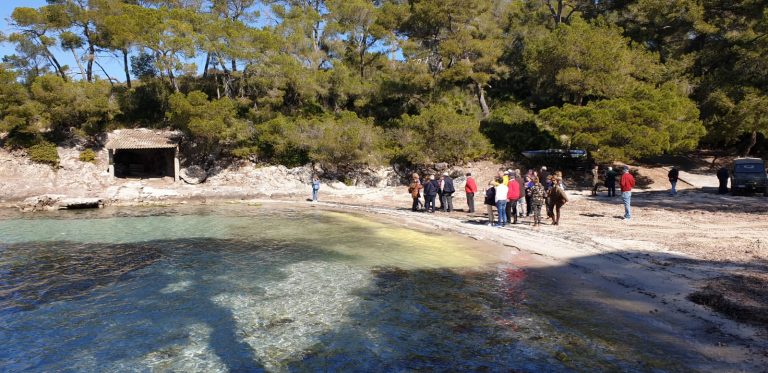 Tramitación para declarar el Campo de Maniobras de Cap Pinar (Alcúdia) como Zona de Interés para la Defensa Nacional