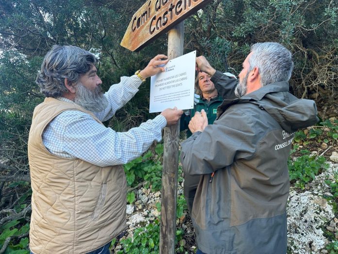 Se prohíbe alimentar a las cabras salvajes y asilvestradas en zonas concurridas de la isla