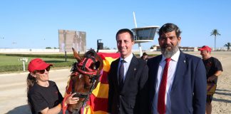 La reforma integral de la pista de competición de Son Pardo tras 25 años de antigüedad, proyecto destacado del Instituto del Deporte Hípico del Consell en 2026 La reforma integral de la pista de competición de Son Pardo tras 25 años de antigüedad, proyecto destacado del Instituto del Deporte Hípico del Consell en 2026