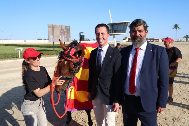 La reforma integral de la pista de competición de Son Pardo tras 25 años de antigüedad, proyecto destacado del Instituto del Deporte Hípico del Consell en 2026