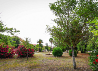 Las IX Jornadas de Medio Ambiente de las Islas Baleares destacan la investigación sobre el patrimonio natural del archipiélago Las IX Jornadas de Medio Ambiente de las Islas Baleares destacan la investigación sobre el patrimonio natural del archipiélago