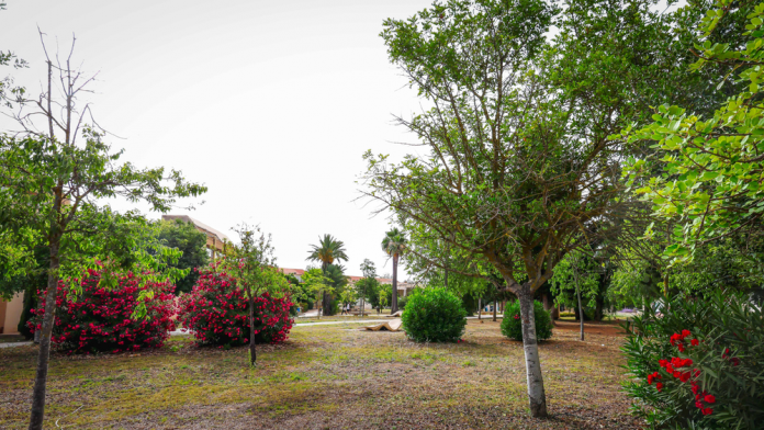 Las IX Jornadas de Medio Ambiente de las Islas Baleares destacan la investigación sobre el patrimonio natural del archipiélago