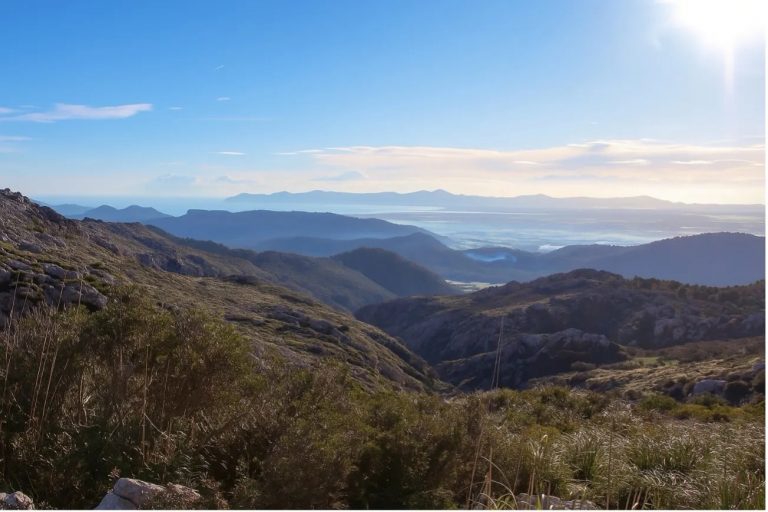 La UIB lidera un proyecto pionero que aplica la inteligencia artificial para combatir la degradación del suelo en las Islas Baleares