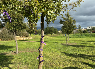 Mujeres represaliadas, memoria y resistencia Mujeres represaliadas, memoria y resistencia