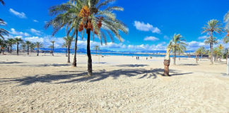 Llucmajor revalida la certificación ISO 14001:2015 tras superar con éxito la auditoría ambiental de sus playas Llucmajor revalida la certificación ISO 14001:2015 tras superar con éxito la auditoría ambiental de sus playas