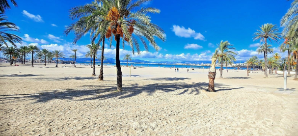 Llucmajor revalida la certificación ISO 14001:2015 tras superar con éxito la auditoría ambiental de sus playas