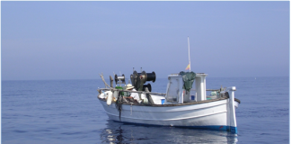 El Govern presenta las líneas estratégicas de la pesca balear y reclama una reforma del MAP adaptada a la realidad mediterránea El Govern presenta las líneas estratégicas de la pesca balear y reclama una reforma del MAP adaptada a la realidad mediterránea