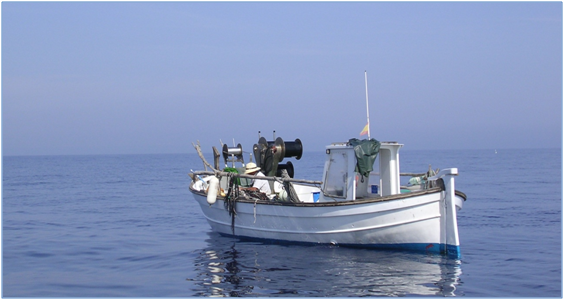 El Govern presenta las líneas estratégicas de la pesca balear y reclama una reforma del MAP adaptada a la realidad mediterránea