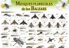 El Govern y el IMEDEA publican un nuevo póster divulgativo sobre los polinizadores de las Illes Balears El Govern y el IMEDEA publican un nuevo póster divulgativo sobre los polinizadores de las Illes Balears