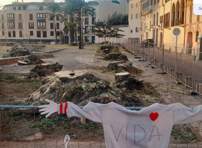 El GOB Mallorca boicotea la Comisión Municipal del Ciclo Climático y condena el arrasamiento de las Bellaombres de la Calatrava