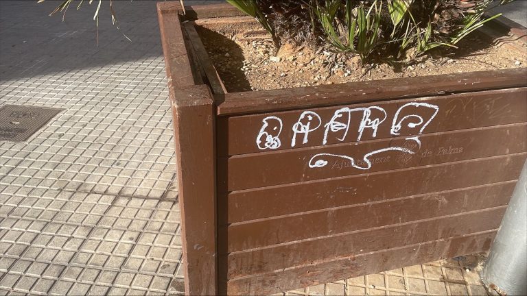 Pere Garau Saludable remite a EMAYA y a la Oficina Antigrafitis un informe con 326 pintadas vandálicas en el espacio público