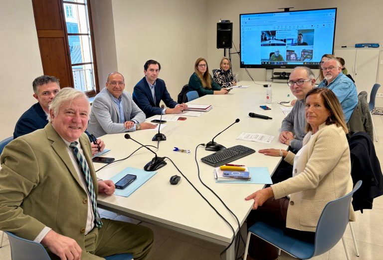 El Consell de Mallorca aplaza la convocatoria de plazas turísticas para garantizar un proceso más seguro y sin fallos técnicos