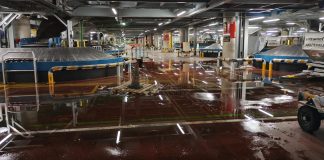 Vergüenza nacional en el aeropuerto de Palma Vergüenza nacional en el aeropuerto de Palma