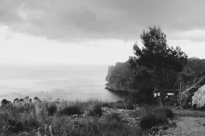 Arte, cultura y ciencia se dan cita en Palma para pensar cómo habitar el futuro