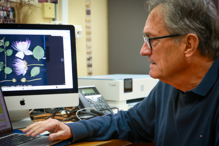 El Herbario Virtual del Mediterráneo Occidental celebra 25 años como referente en botánica en línea