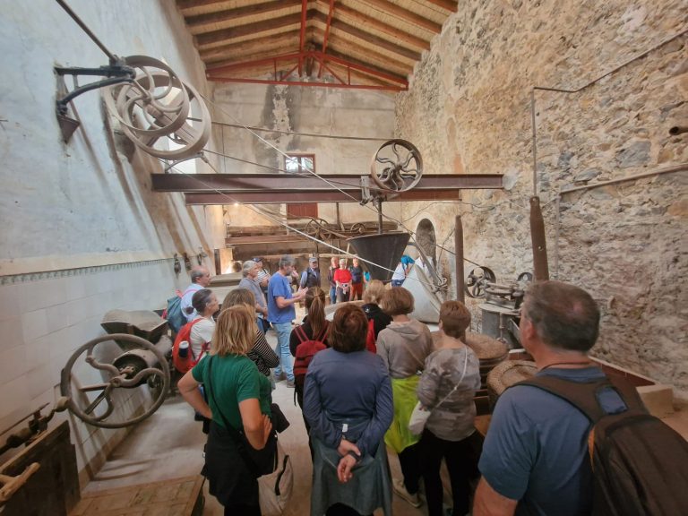 El programa «Viu el patrimoni de la Serra de Tramuntana» del Consell de Mallorca acerca el patrimonio mundial a cientos de personas