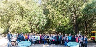 Mallorca abre su programa de salidas activas singulares para personas mayores dirigido a 2.000 participantes Mallorca abre su programa de salidas activas singulares para personas mayores dirigido a 2.000 participantes