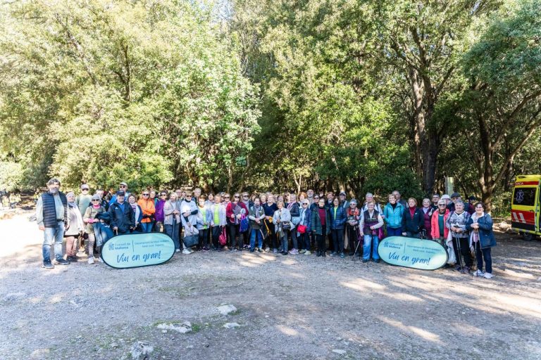Mallorca abre su programa de salidas activas singulares para personas mayores dirigido a 2.000 participantes