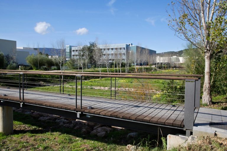 La Fundación BIT adjudica la reforma de los puentes sobre el Torrent de Na Barbarà del ParcBIT por 112.218,61 euros