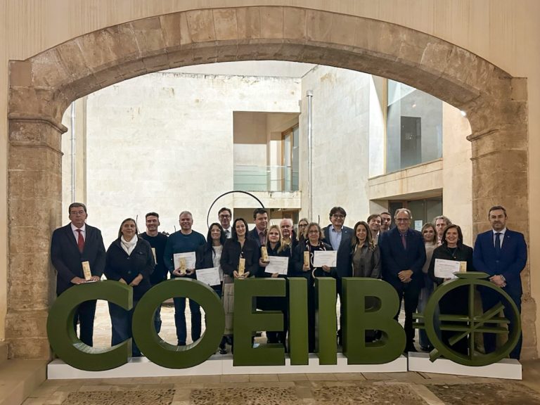 La UIB recibe un premio por su campaña de ciberconsejos para fomentar la cultura de la ciberseguridad