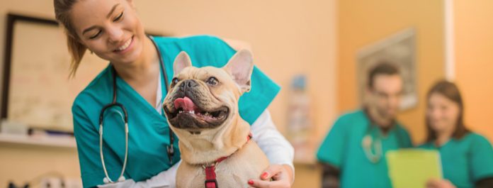 EMVETIB rechaza una reforma “insuficiente” del Real Decreto de medicamentos veterinarios y pide soluciones de fondo