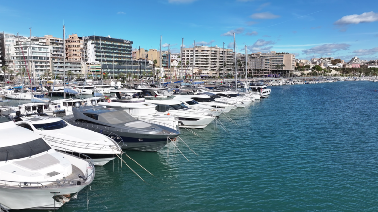La Lonja Marina Chárter gestionará los amarres de alquiler del paseo Marítimo del puerto de Palma