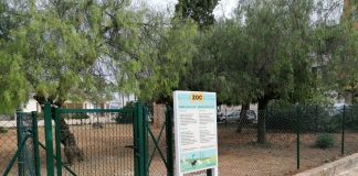 Llucmajor amplía sus zonas de ocio canino y prevé dos nuevos espacios para perros Llucmajor amplía sus zonas de ocio canino y prevé dos nuevos espacios para perros