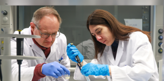 Investigadores de la UIB demuestran que el bisfenol A puede liberarse en el organismo a través de microplásticos Investigadores de la UIB demuestran que el bisfenol A puede liberarse en el organismo a través de microplásticos