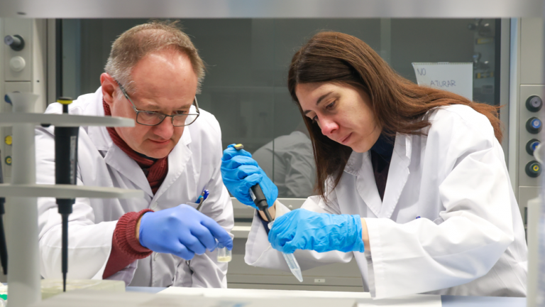 Investigadores de la UIB demuestran que el bisfenol A puede liberarse en el organismo a través de microplásticos