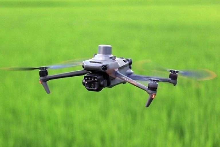 Cort aprueba la contratación de tres drones para reforzar la vigilancia de la Policía Local de Palma
