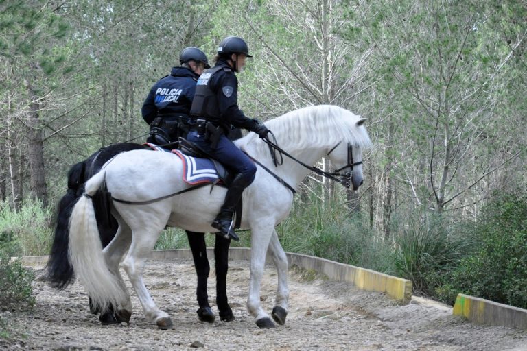 Más de 1.500 escolares visitaron en 2025 la Unidad Montada de la Policía Local de Palma