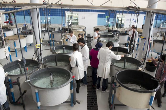 La UIB ampliará su oferta con dos nuevos grados en Ciencias de la Mar y Matemáticas y Física