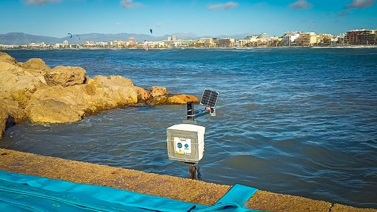 La UIB y el IEO identifican nuevos puntos calientes de “risas” en el Mediterráneo occidental
