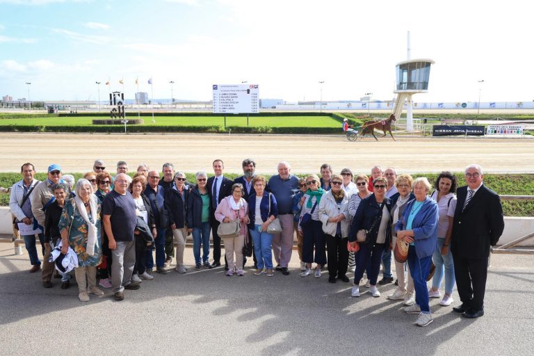 El mundo del trote llega a más de 1.000 personas con visitas al Hipódromo Son Pardo