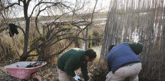 Un nuevo proyecto del Govern combina conservación ambiental e inclusión laboral en espacios naturales Un nuevo proyecto del Govern combina conservación ambiental e inclusión laboral en espacios naturales