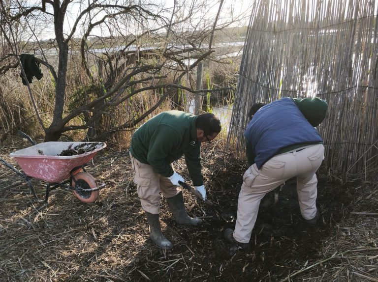 Un nuevo proyecto del Govern combina conservación ambiental e inclusión laboral en espacios naturales