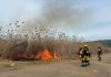 Baleares bate récord en prevención de incendios forestales con 1.138 hectáreas gestionadas en 2025 Baleares bate récord en prevención de incendios forestales con 1.138 hectáreas gestionadas en 2025