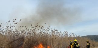 Baleares bate récord en prevención de incendios forestales con 1.138 hectáreas gestionadas en 2025 Baleares bate récord en prevención de incendios forestales con 1.138 hectáreas gestionadas en 2025