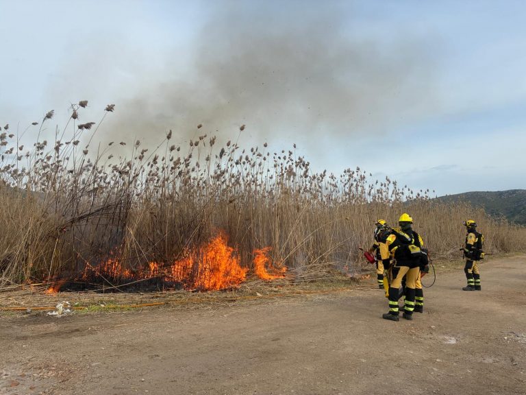 Baleares bate récord en prevención de incendios forestales con 1.138 hectáreas gestionadas en 2025