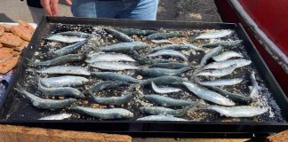 Palma declara de Interés Público Municipal la II Fira de la Sardina en el Moll de Pescadors Palma declara de Interés Público Municipal la II Fira de la Sardina en el Moll de Pescadors